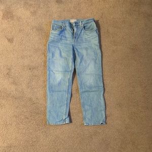 Everlane Cheeky Straight Jean in Sky Blue